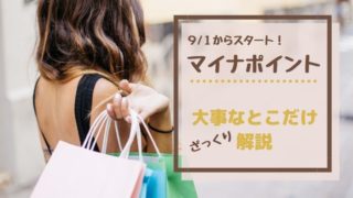 マイナポイントざっくり解説